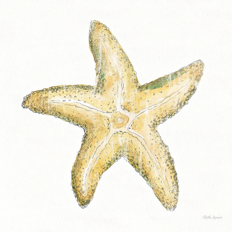 Golden Treasures VI on White by Beth Grove. SKU 24034a. Archival Giclee Fine art print for wall decor.