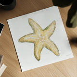 Golden Treasures VI on White by Beth Grove. Shown as a detailed flat fine art print, highlighting archival giclee quality. Available as an archival giclee rolled canvas, fine art paper, or poster print. SKU 24034a.