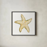 Golden Treasures VI on White by Beth Grove. Shown in a sleek black glass frame for a contemporary gallery look. Available as an archival giclee rolled canvas, fine art paper, or poster print. SKU 24034a.