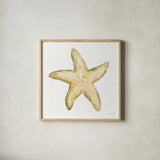 Golden Treasures VI on White by Beth Grove. Shown in a natural wood glass frame for a timeless modern aesthetic. Available as an archival giclee rolled canvas, fine art paper, or poster print. SKU 24034a.
