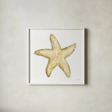 Golden Treasures VI on White by Beth Grove. Shown in a crisp white glass frame for a clean and minimalist style. Available as an archival giclee rolled canvas, fine art paper, or poster print. SKU 24034a.