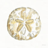 Golden Treasures VII on White by Beth Grove. SKU 24035a. Archival Giclee Fine art print for wall decor.