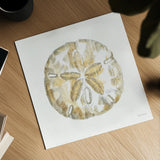 Golden Treasures VII on White by Beth Grove. Shown as a detailed flat fine art print, highlighting archival giclee quality. Available as an archival giclee rolled canvas, fine art paper, or poster print. SKU 24035a.