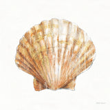 Golden Treasures VIII on White by Beth Grove. SKU 24036a. Archival Giclee Fine art print for wall decor.