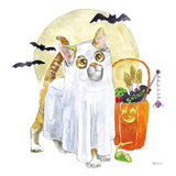Halloween Pets V by Beth Grove. SKU 43757a. Archival Giclee Fine art print for wall decor.