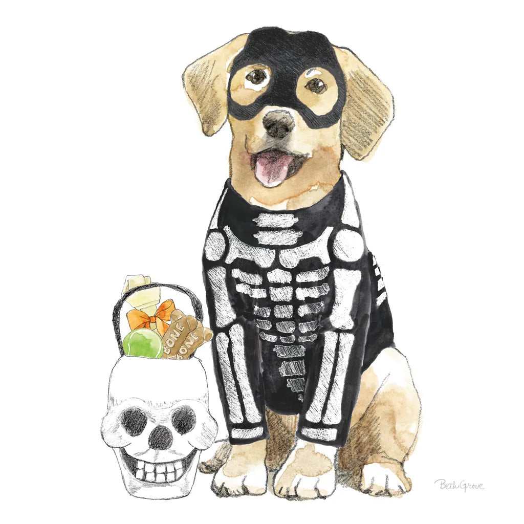 Halloween Pets VII Square by Beth Grove. SKU 57878a. Archival Giclee Fine art print for wall decor.