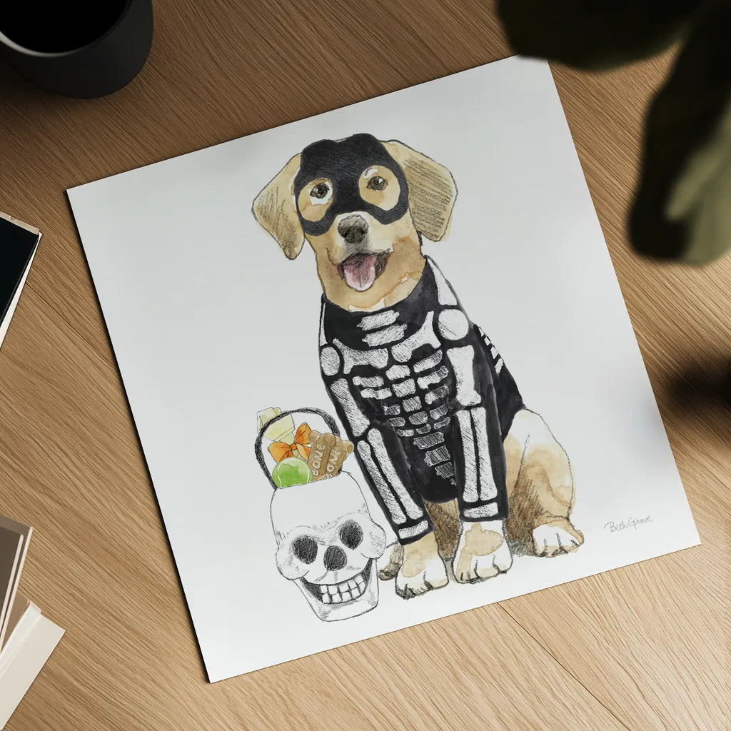 Halloween Pets VII Square by Beth Grove. Shown as a detailed flat fine art print, highlighting archival giclee quality. Available as an archival giclee rolled canvas, fine art paper, or poster print. SKU 57878a.