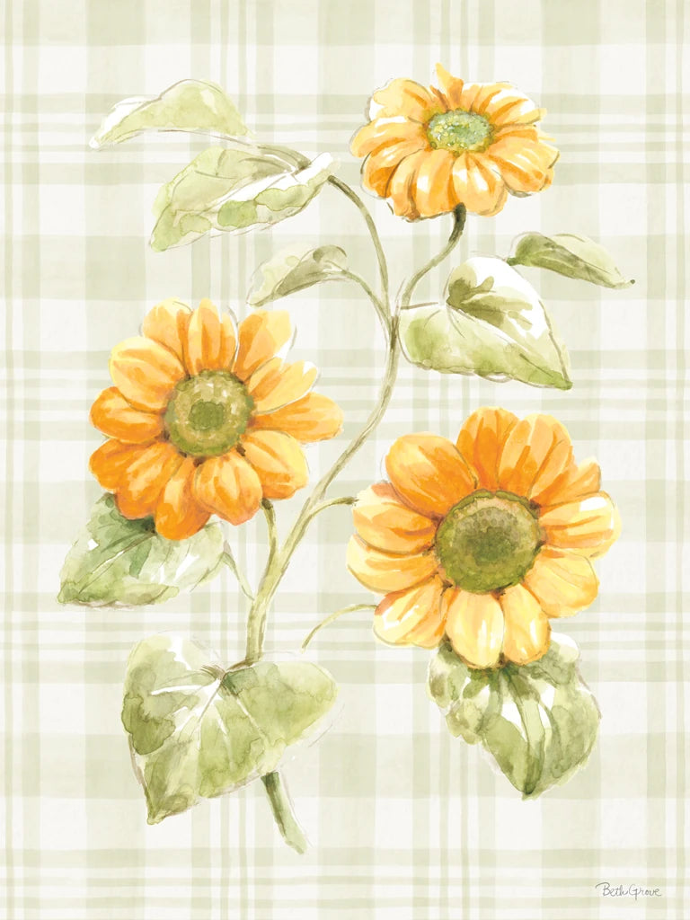 Harvest Wishes V by Beth Grove