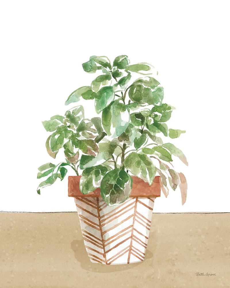 Herb Garden II White by Beth Grove