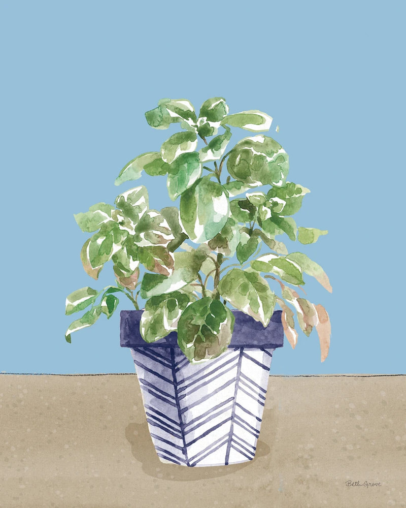 Herb Garden II White Navy by Beth Grove