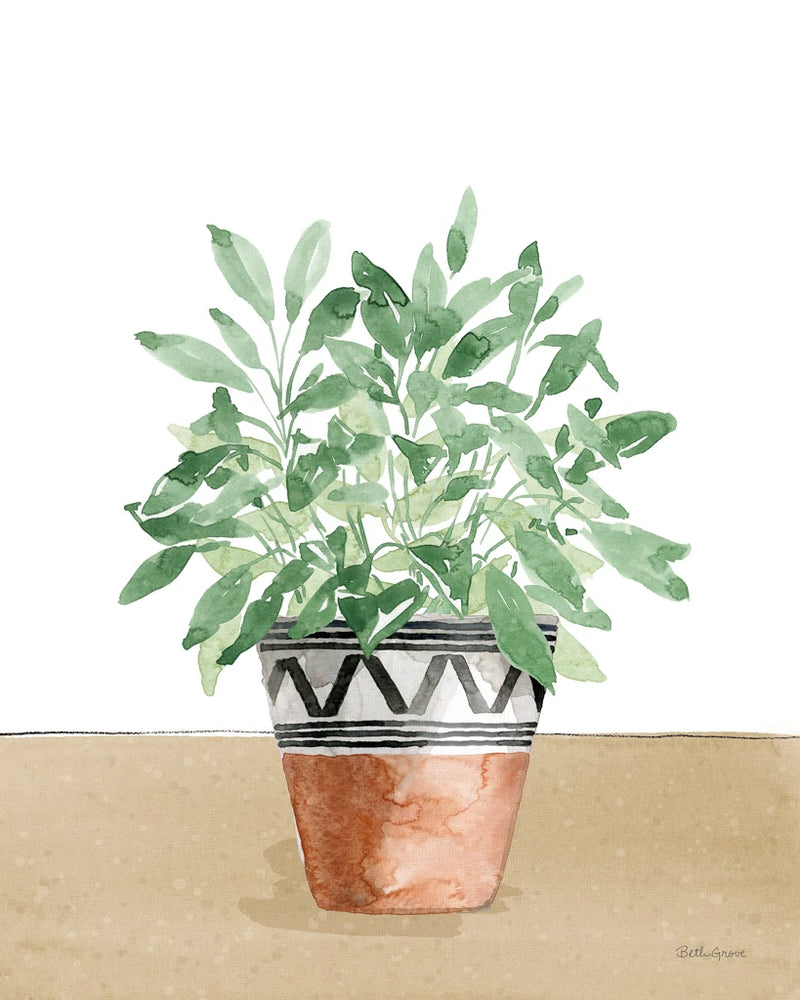 Herb Garden V White by Beth Grove