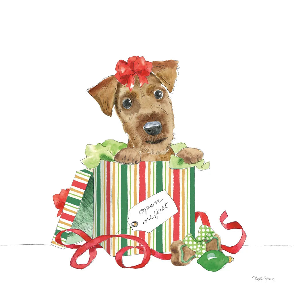 Holiday Paws II on White No Words by Beth Grove. SKU 54419a. Archival Giclee Fine art print for wall decor.