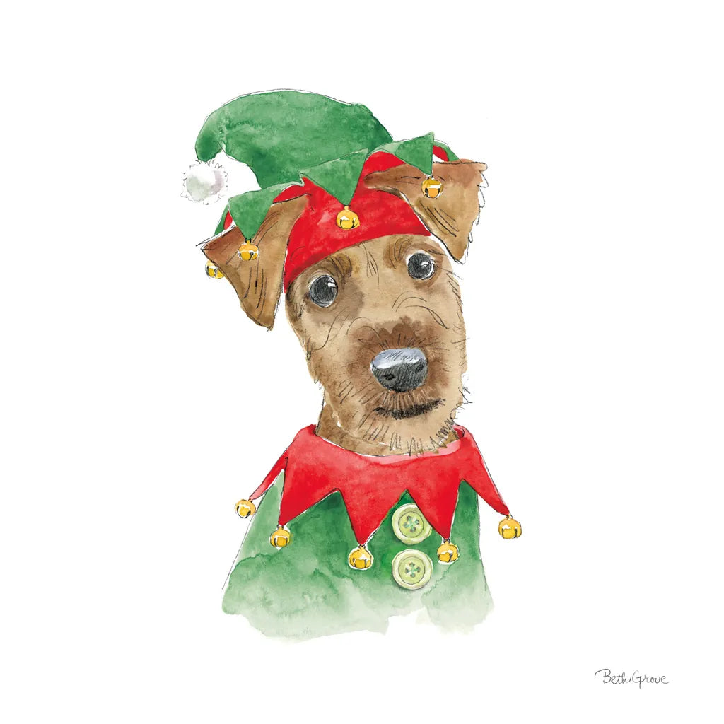 Holiday Paws VII on White by Beth Grove. SKU 50885a. Archival Giclee Fine art print for wall decor.