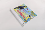 Island Time Toucan by Beth Grove. shown as a rolled paper print. Available as archival giclee rolled canvas, fine art paper, or poster print. SKU 21889i.