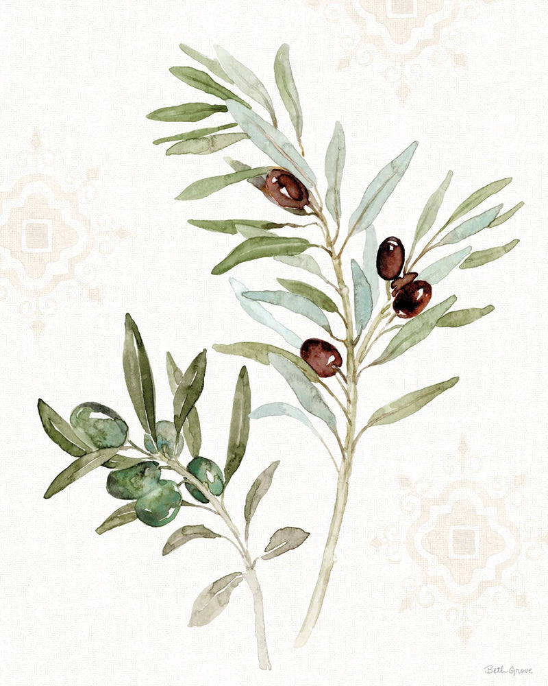 Mediterranean Motif IX by Beth Grove