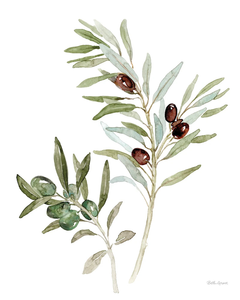 Mediterranean Motif IX on White by Beth Grove