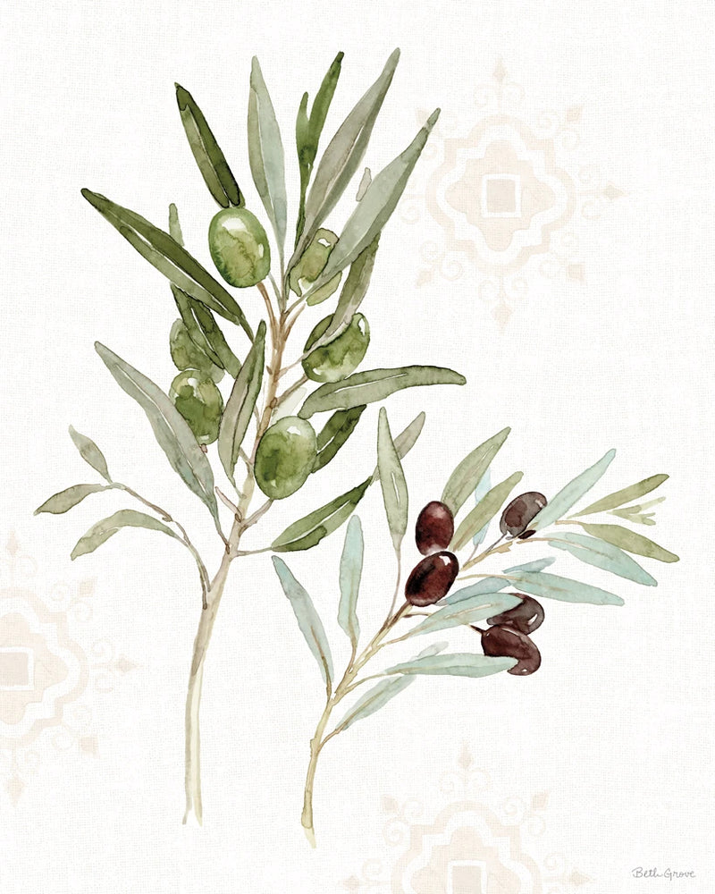 Mediterranean Motif VIII by Beth Grove
