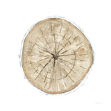 Natures Leaves VI by Beth Grove. SKU 60641a. Archival Giclee Fine art print for wall decor.