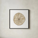 Natures Leaves VI by Beth Grove. Shown in a sleek black glass frame for a contemporary gallery look. Available as an archival giclee rolled canvas, fine art paper, or poster print. SKU 60641a.