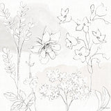 Peaceful Petals VII Neutral by Beth Grove. SKU 70002a. Archival Giclee Fine art print for wall decor.