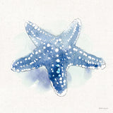 Seaside VI by Beth Grove. SKU 78689a. Archival Giclee Fine art print for wall decor.