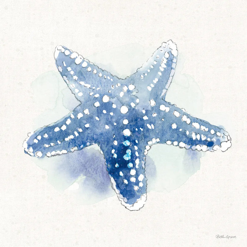 Seaside VI by Beth Grove. SKU 78689a. Archival Giclee Fine art print for wall decor.