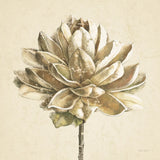 Seed Pod I No Words Cream by Beth Grove. SKU 71530a. Archival Giclee Fine art print for wall decor.