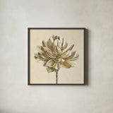 Seed Pod I No Words Cream by Beth Grove. Shown in a sleek black glass frame for a contemporary gallery look. Available as an archival giclee rolled canvas, fine art paper, or poster print. SKU 71530a.