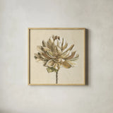 Seed Pod I No Words Cream by Beth Grove. Shown in a natural wood glass frame for a timeless modern aesthetic. Available as an archival giclee rolled canvas, fine art paper, or poster print. SKU 71530a.