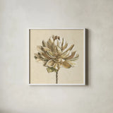 Seed Pod I No Words Cream by Beth Grove. Shown in a crisp white glass frame for a clean and minimalist style. Available as an archival giclee rolled canvas, fine art paper, or poster print. SKU 71530a.
