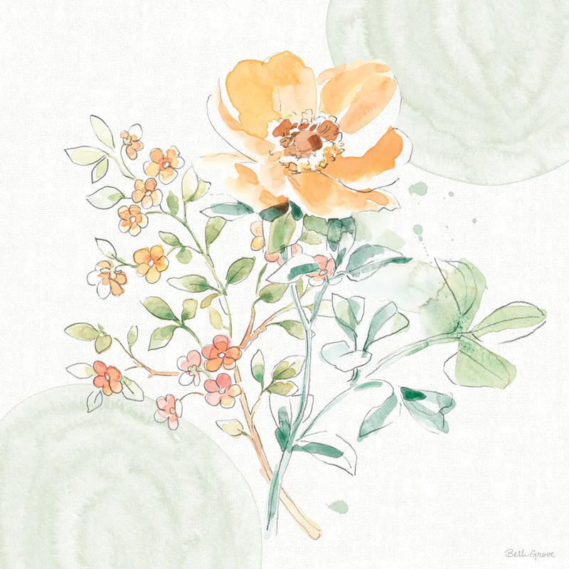 Soft Petals IV by Beth Grove. SKU 87554a. Archival Giclee Fine art print for wall decor.
