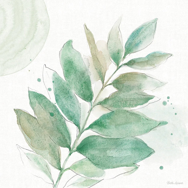 Soft Petals VI by Beth Grove. SKU 87556a. Archival Giclee Fine art print for wall decor.