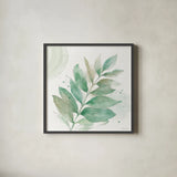 Soft Petals VI by Beth Grove. Shown in a sleek black glass frame for a contemporary gallery look. Available as an archival giclee rolled canvas, fine art paper, or poster print. SKU 87556a.