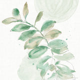 Soft Petals VII by Beth Grove. SKU 87557a. Archival Giclee Fine art print for wall decor.
