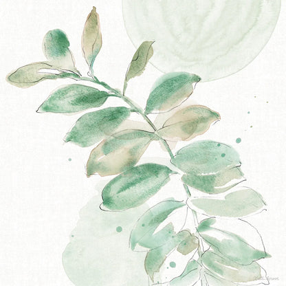 Soft Petals VII by Beth Grove. SKU 87557a. Archival Giclee Fine art print for wall decor.