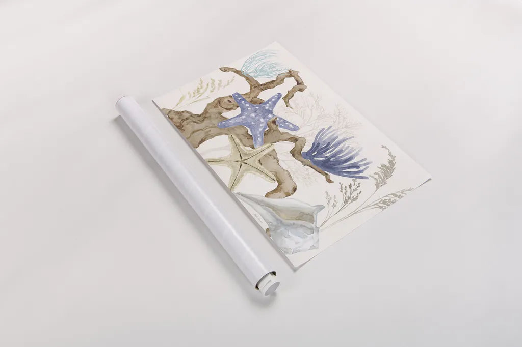 Soft Shores I by Beth Grove. shown as a rolled paper print. Available as archival giclee rolled canvas, fine art paper, or poster print. SKU 72852i.