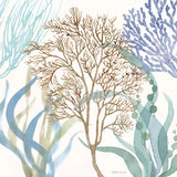 Soft Shores VII by Beth Grove. SKU 72858a. Archival Giclee Fine art print for wall decor.