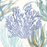Soft Shores VIII by Beth Grove. SKU 72859a. Archival Giclee Fine art print for wall decor.