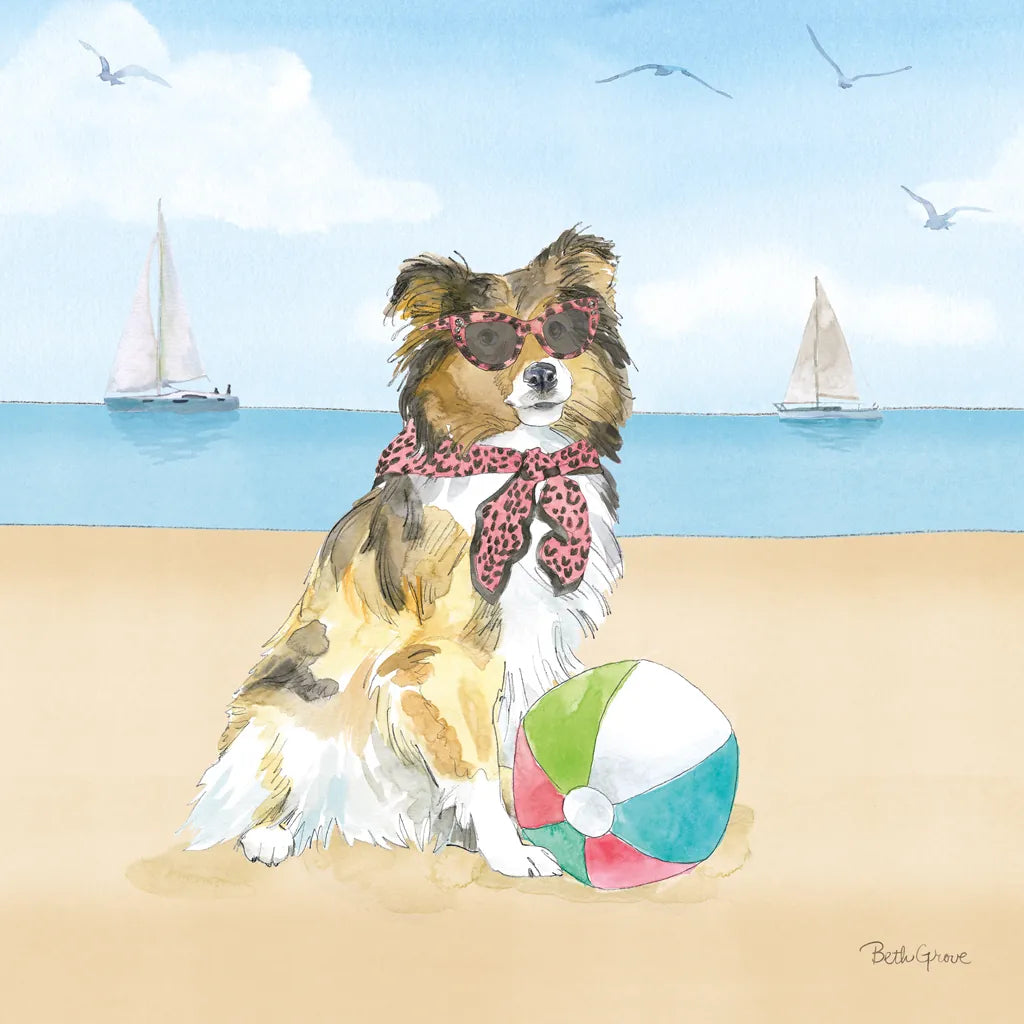 Summer Paws V No Words by Beth Grove. SKU 48914a. Archival Giclee Fine art print for wall decor.