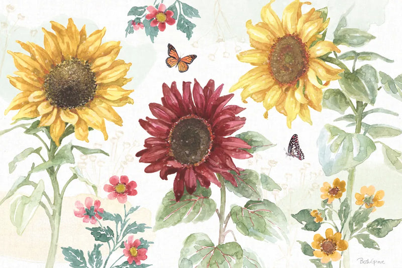 Sunflower Splendor IV by Beth Grove. SKU 65342i. Archival Giclee Fine art print for wall decor.