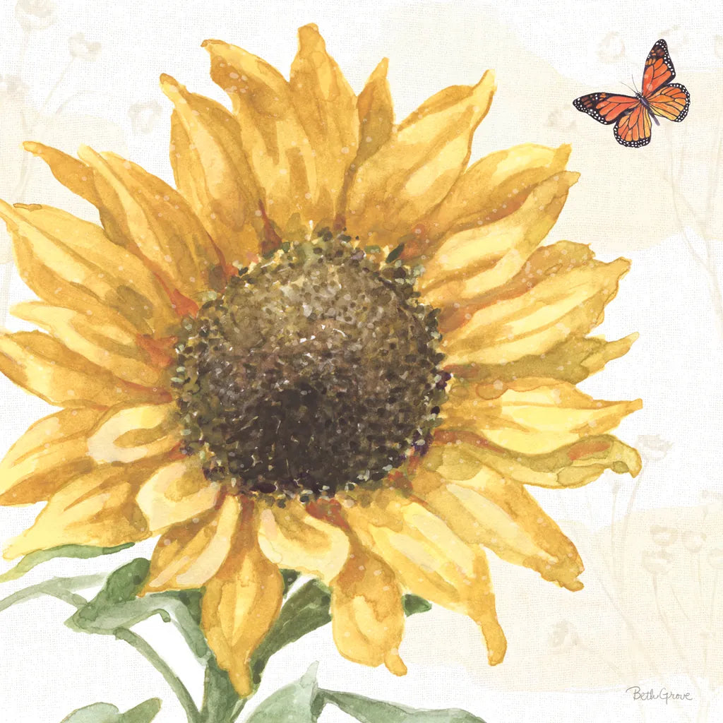 Sunflower Splendor IX by Beth Grove. SKU 65347a. Archival Giclee Fine art print for wall decor.