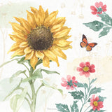 Sunflower Splendor V by Beth Grove. SKU 65343a. Archival Giclee Fine art print for wall decor.