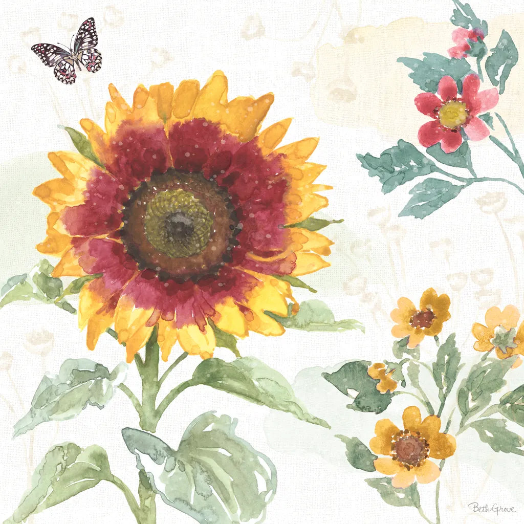 Sunflower Splendor VII by Beth Grove. SKU 65345a. Archival Giclee Fine art print for wall decor.