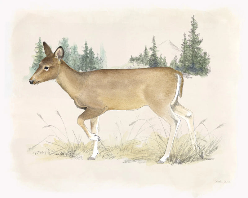 Wilderness Collection Deer by Beth Grove