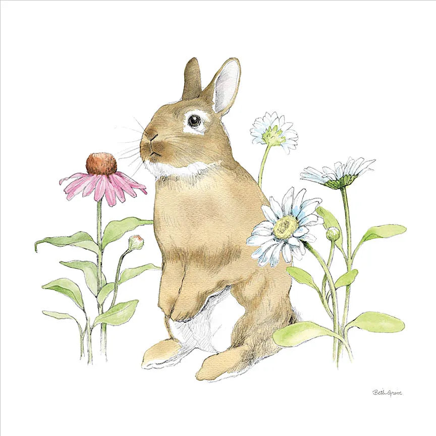 Wildflower Bunnies IV Sq by Beth Grove. SKU 24702a. Archival Giclee Fine art print for wall decor.