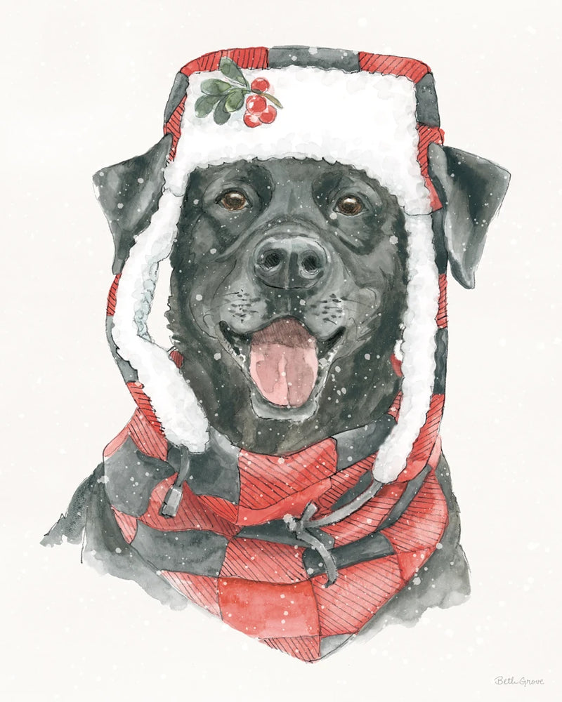Winter Paws II by Beth Grove