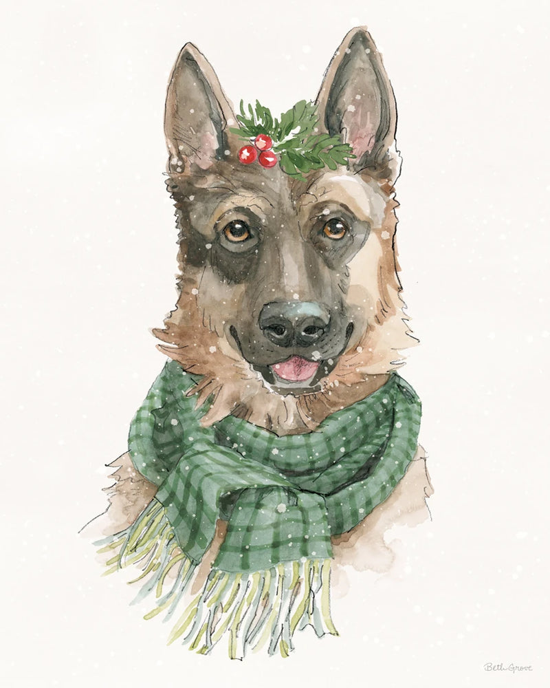 Winter Paws IV by Beth Grove