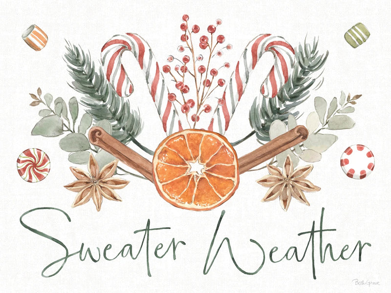 Winter Warmth VII by Beth Grove