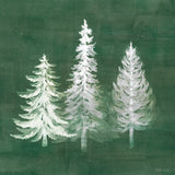 Wooded Winter XIII by Beth Grove. SKU 88967a. Archival Giclee Fine art print for wall decor.