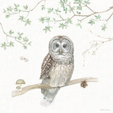 Woodland Love IV by Beth Grove. SKU 78990a. Archival Giclee Fine art print for wall decor.